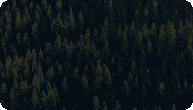 Digital Transformation Services